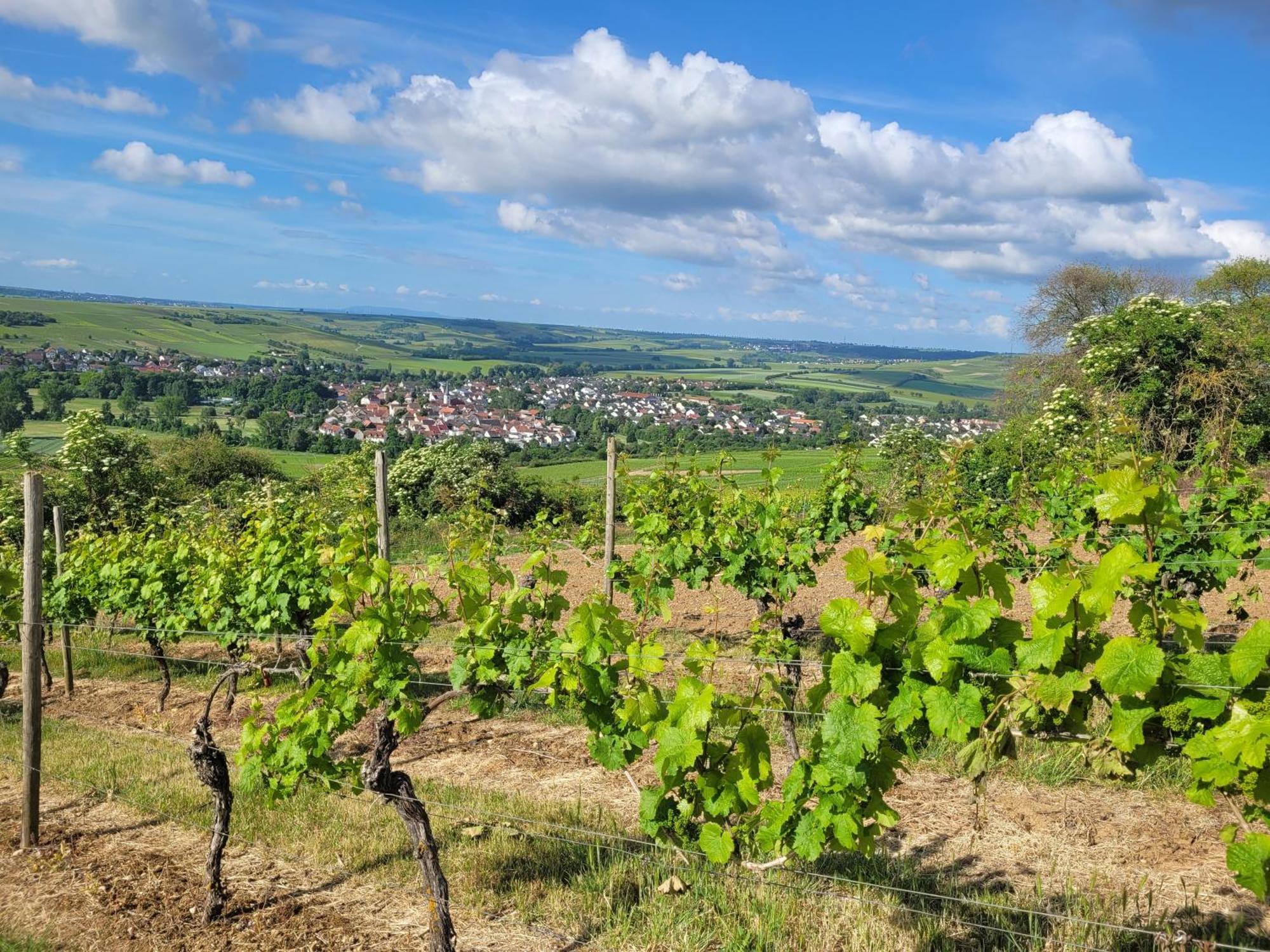 Das Hoefchen Stadecken Hotel Kültér fotó